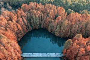 Shanghái: Aventura en kayak en el Parque Forestal de la Bahía de Shanghái