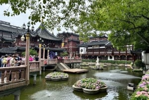 Sotamies Lyaover: Kruisailu Shanghaissa Teslalla