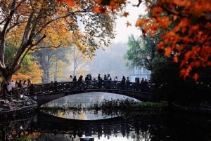 Shanghai: tour a piedi del mercato alimentare locale e del parco