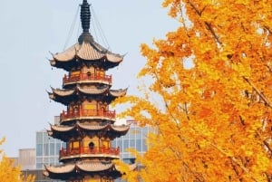 上海:地元専門家ガイド付き龍華寺仏教ツアー