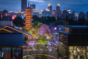 上海:地元専門家ガイド付き龍華寺仏教ツアー