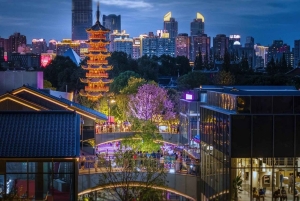 Shanghai: Buddhistisk tur til Longhua-tempelet med lokal ekspert