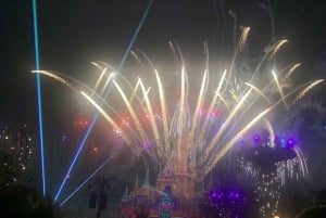 Viagem de 1 dia para o Shanghai Disneyland em grupo privado