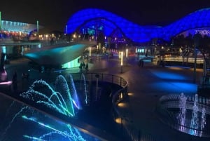 Viagem de 1 dia para o Shanghai Disneyland em grupo privado