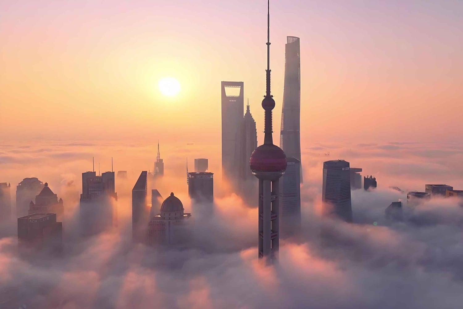 Shanghai: Metro Line 14 Day Tour with English Guide