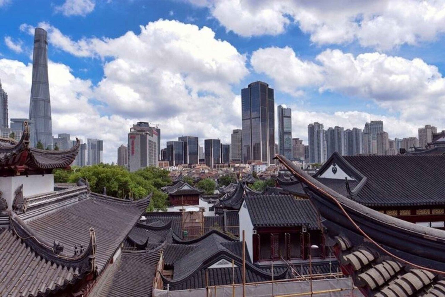 Shanghai : Must-See Private Walking Tour