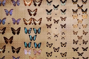 Shanghai: Luonnontieteellinen museo Lippujen ostopalvelu