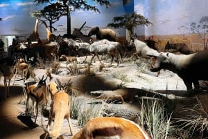 Shanghai: Luonnontieteellinen museo Lippujen ostopalvelu