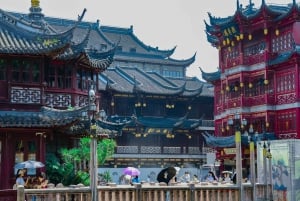 Shanghai Night Wonder:Choose Your Perfect Evening Experience