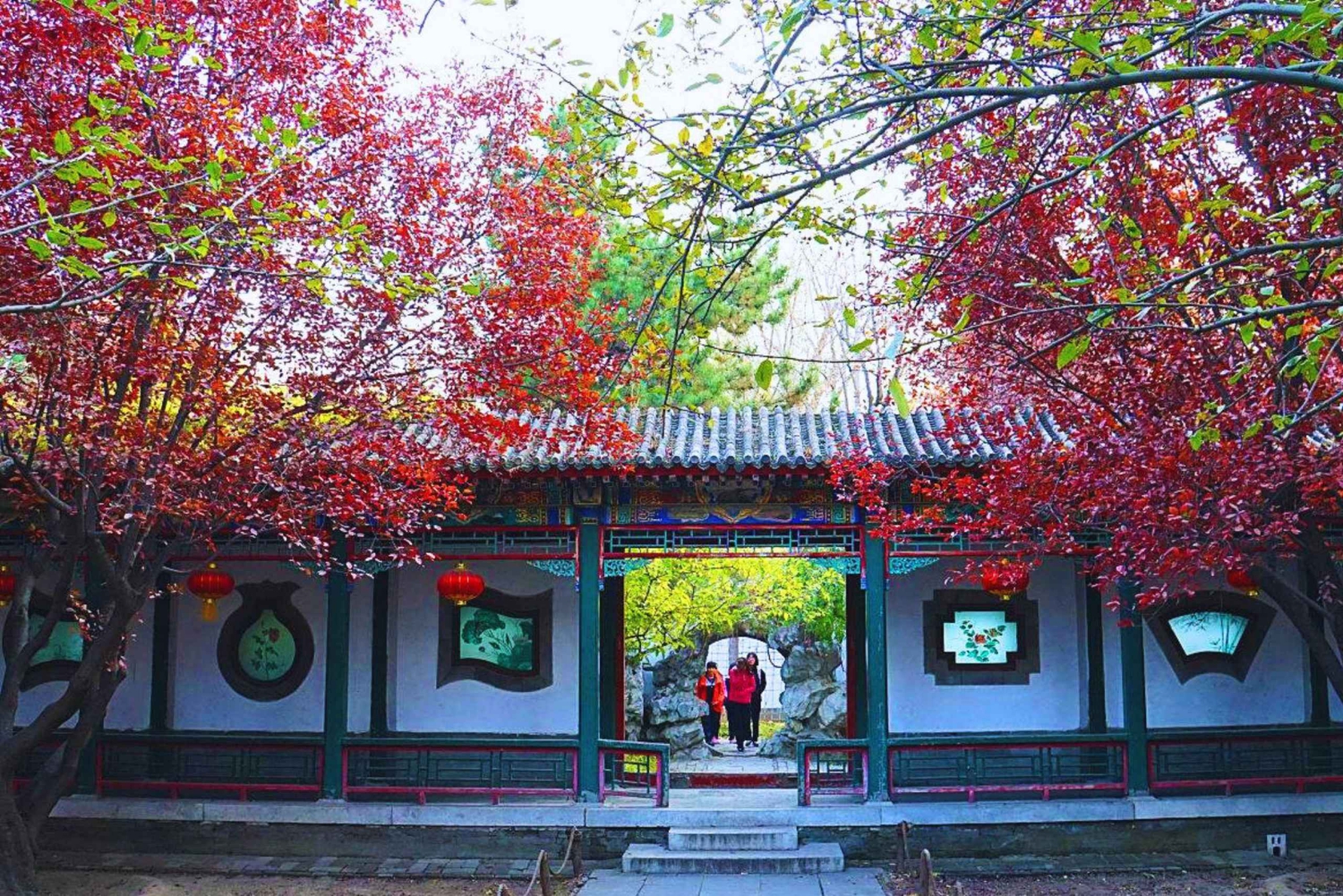 Shanghai: Halvdagsutflykt med vintagecyklar i gamla stan (nattalternativ)