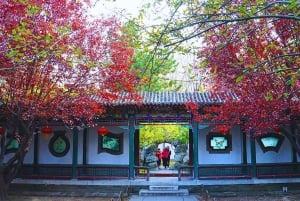 Shanghai: Halvdagsutflykt med vintagecyklar i gamla stan (nattalternativ)