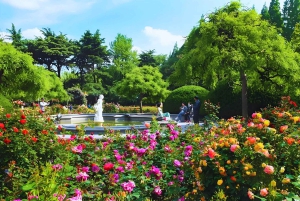 Shanghai: Halvdagsutflykt med vintagecyklar i gamla stan (nattalternativ)