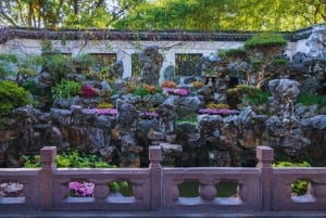 Shanghai: Halvdagsutflykt med vintagecyklar i gamla stan (nattalternativ)