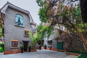 Shanghai: Halvdagsutflykt med vintagecyklar i gamla stan (nattalternativ)