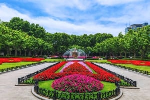 Shanghai: Halvdagsutflykt med vintagecyklar i gamla stan (nattalternativ)