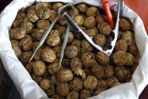 上海4時間ツアー：食、文化、スカイライン、サイクリング、フェリー