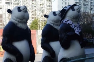 上海4時間ツアー：食、文化、スカイライン、サイクリング、フェリー