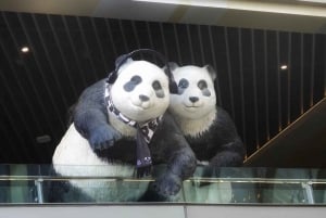 上海4時間ツアー：食、文化、スカイライン、サイクリング、フェリー