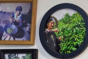 上海4時間ツアー：食、文化、スカイライン、サイクリング、フェリー