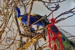 上海4時間ツアー：食、文化、スカイライン、サイクリング、フェリー