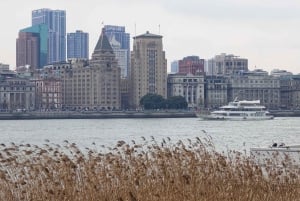 上海4時間ツアー：食、文化、スカイライン、サイクリング、フェリー