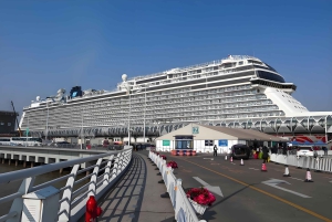 Shanghai: tour di 2 giorni personalizzato a terra