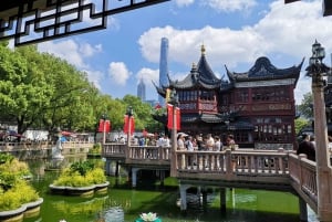 Shanghai: Private and Personalized Guided Tour