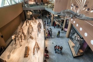 上海上海博物館プライベートツアー