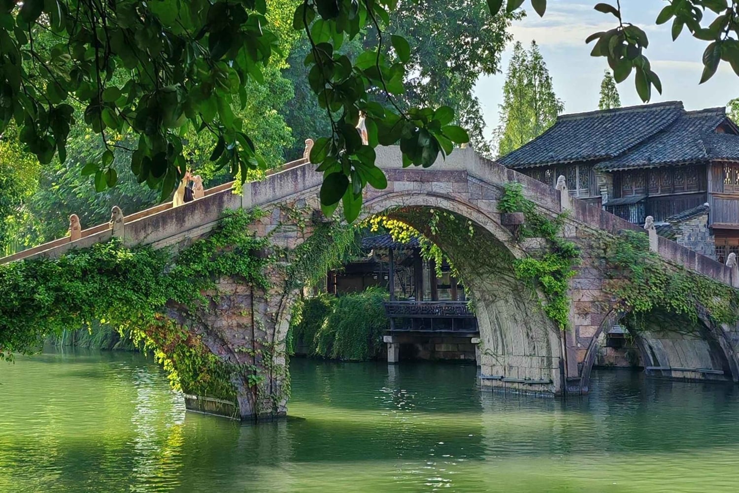 Shanghai: Yksityinen Wuzhenin matkapäivä ja indigotyöpaja