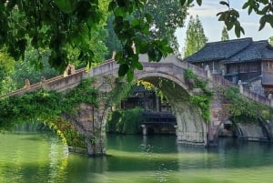 Shanghai: Yksityinen Wuzhenin matkapäivä ja indigotyöpaja