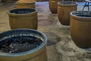 Shanghai: Yksityinen Wuzhenin matkapäivä ja indigotyöpaja