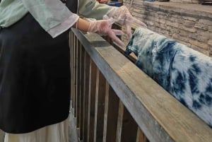 Shanghai: Yksityinen Wuzhenin matkapäivä ja indigotyöpaja