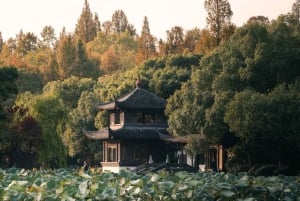 Shanghai: Shanghai to Hangzhou 2-Day, 1-Night Luxury Tour
