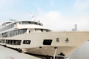 上海タワー118階展望台入場券