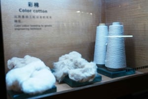 Xangai: Passeio a pé pelo património industrial de Suzhou Creek