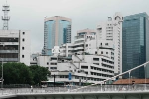 Xangai: Passeio a pé pelo património industrial de Suzhou Creek