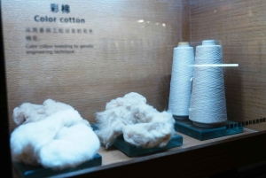 Shanghai: Suzhou Creek Industrial Heritage Walking Tour