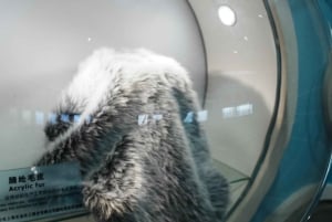 Shanghai: Suzhou Creek Industrial Heritage Walking Tour