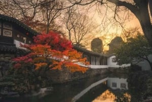 Shanghái: excursión de 1 día a Suzhou con clase de dumplings