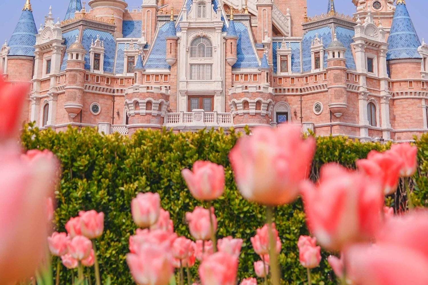 Shanghai: Suzhou, Hangzhou og Wuzhen 5-dages tur