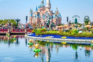 Shanghai: Suzhou, Hangzhou e Wuzhen - Tour di 5 giorni