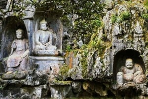 Shanghai: Suzhou, Hangzhou e Wuzhen - Tour di 5 giorni