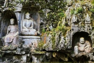 Shanghai: Suzhou, Hangzhou og Wuzhen 5-dages tur