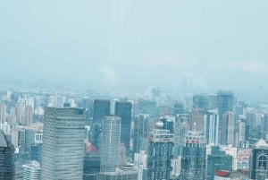 Shanghai: tour tecnologico con auto senza conducente