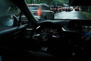 Shanghai: tour tecnologico con auto senza conducente