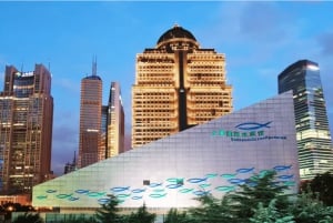 Shanghai: Shanghai Ocean Aquariumin meren ihmeitä