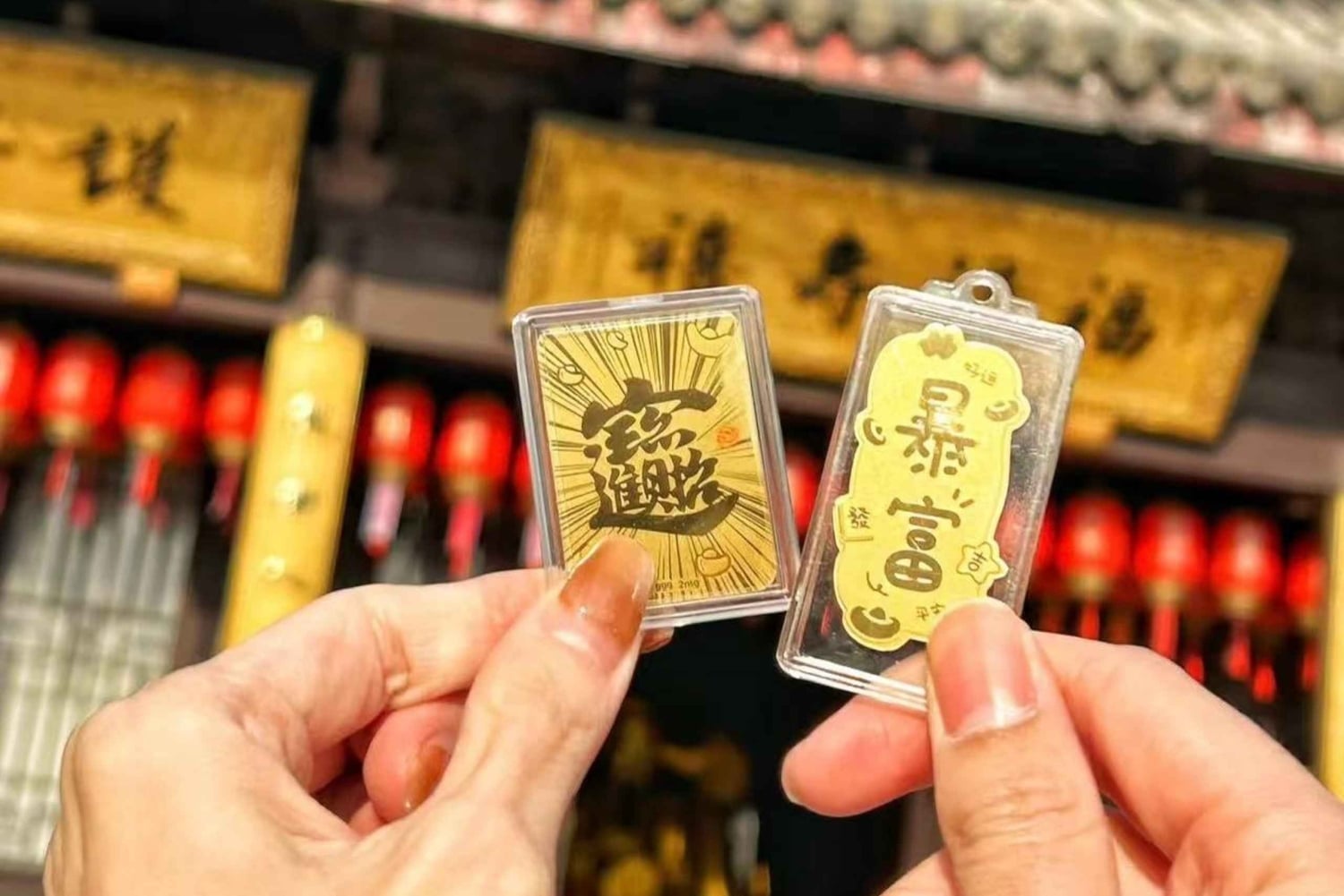 Shanghai to Chongming: Ecology, Culture & Hands-on Tour