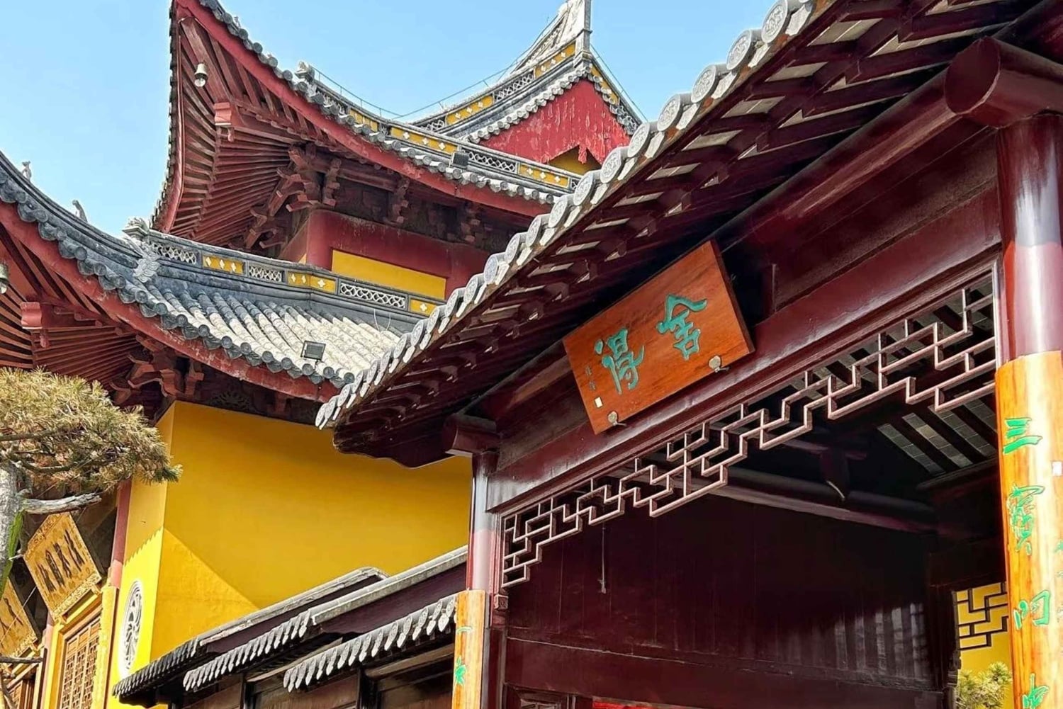 Shanghai to Chongming: Ecology, Culture & Hands-on Tour