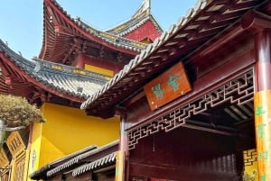 Shanghai to Chongming: Ecology, Culture & Hands-on Tour