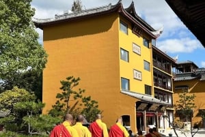 Shanghai to Chongming: Ecology, Culture & Hands-on Tour